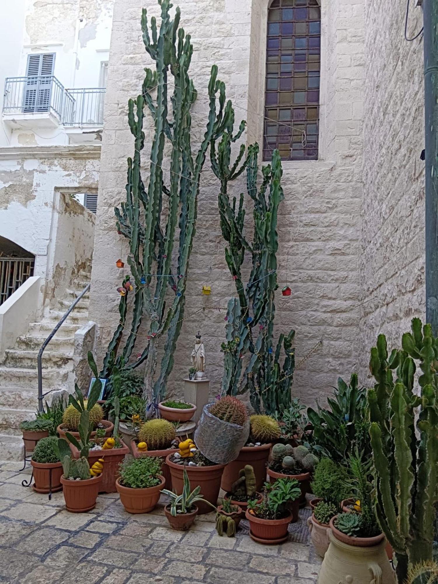 Palazzoliva - Luxury Boho Chic Guest House In The Historic Heart Of Martina Franca Eksteriør billede