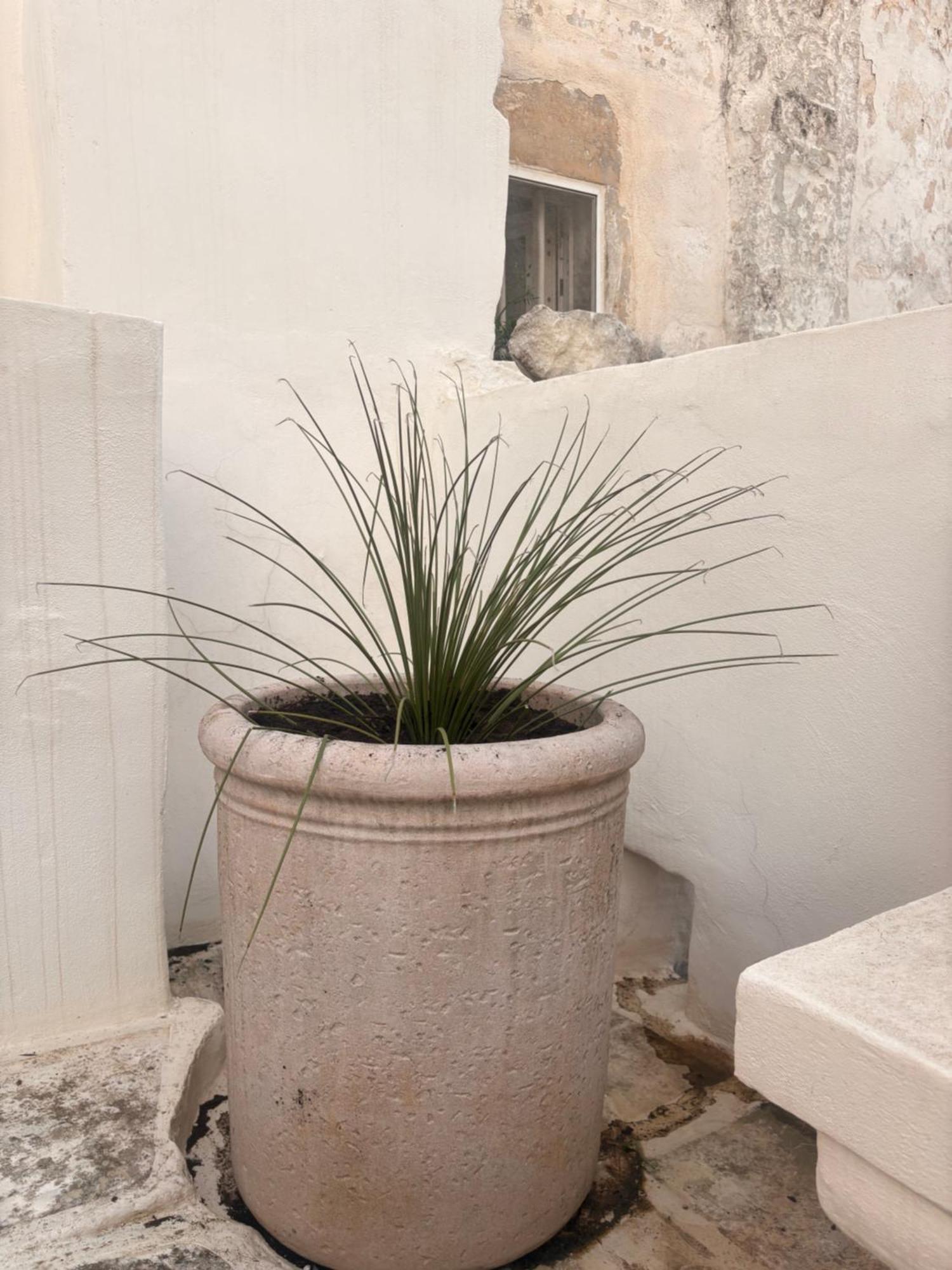 Palazzoliva - Luxury Boho Chic Guest House In The Historic Heart Of Martina Franca Eksteriør billede